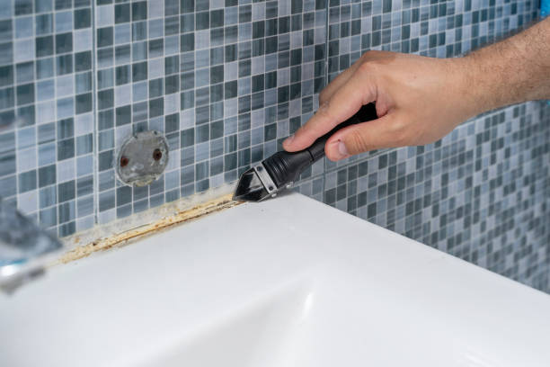 Best Mold Remediation for Schools in Port St Joe, FL